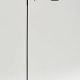 Leaf Floor Lamp