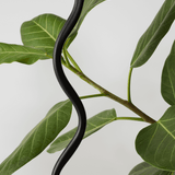 Squiggle Floor Lamp