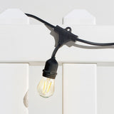 Ambience Pro LED Plug-in String Lights