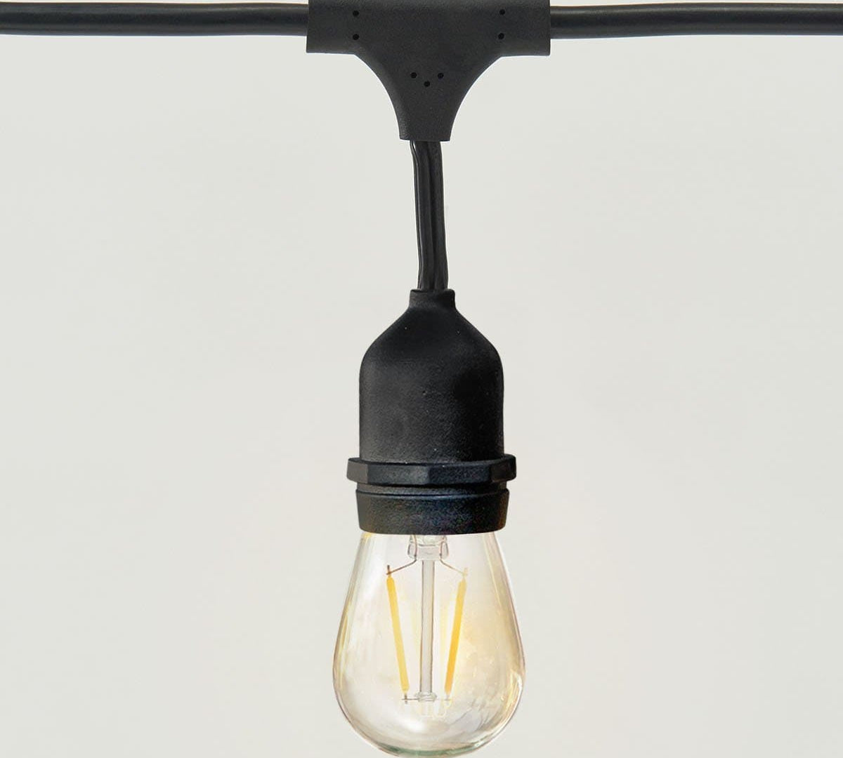 Ambience Pro LED Plug-in String Lights 1W