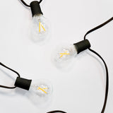 Ambience Globe LED Plug In String Lights