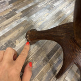 Rustic Western Style Faux Antler Base w/ Faux Leather Shade TABLE LAMP 17Wx33H