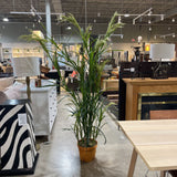 Faux Tasseled Grass in Terracotta Pot ACCESSORIES 44Wx84H