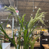 Faux Tasseled Grass in Terracotta Pot ACCESSORIES 44Wx84H