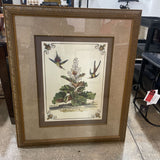Botanical Print - Floral & Birds ART WORK 34.5Wx40.5H