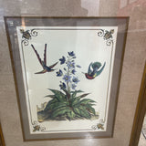 Botanical Print - Floral & Birds ART WORK 34.5Wx40.5H