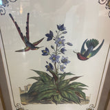 Botanical Print - Floral & Birds ART WORK 34.5Wx40.5H