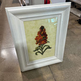 Botanical Print In Ornate Frame ART WORK 30x40
