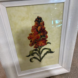 Botanical Print In Ornate Frame ART WORK 30x40