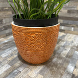 Faux Corkscrew Rush In Boho Modern Vase ACCESSORIES 4d12h