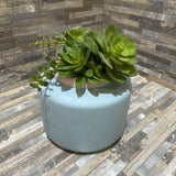 Potted Faux Succulent ACCESSORIES 6d8h