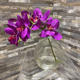 Waterfleur Orchid in Glass Orb Vase ACCESSORIES 7Wx4Dx8H
