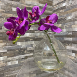 Waterfleur Orchid in Glass Orb Vase ACCESSORIES 7Wx4Dx8H