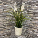 Faux Grass in Ceramic Planter ACCESSORIES 6Wx19H