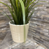 Faux Grass in Ceramic Planter ACCESSORIES 6Wx19H