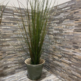 Faux Graas in Green Ceramic Planter ACCESSORIES 10Wx42H