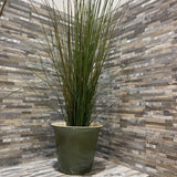 Faux Graas in Green Ceramic Planter ACCESSORIES 10Wx42H