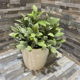 Faux Plant in Ceramic Pot ACCESSORIES 7Wx9H