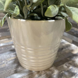 Faux Plant in Ceramic Pot ACCESSORIES 7Wx9H