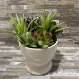 Faux Plant in Ceramic Pot ACCESSORIES 5Wx7H