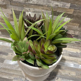 Faux Plant in Ceramic Pot ACCESSORIES 5Wx7H