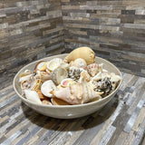 Ceramic Bowl w/ Seashells ACCESSORIES 12d4h