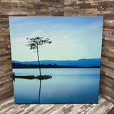 Nature Scene On Canvas ART WORK 20x20