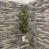 Faux Mini Decorative Christmas Tree HOLIDAY ITEMS 8Wx24H