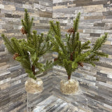 2pc Set Petite Faux Christmas Greens HOLIDAY ITEMS 6Wx11H