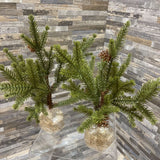 2pc Set Petite Faux Christmas Greens HOLIDAY ITEMS 6Wx11H