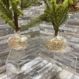 2pc Set Petite Faux Christmas Greens HOLIDAY ITEMS 6Wx11H