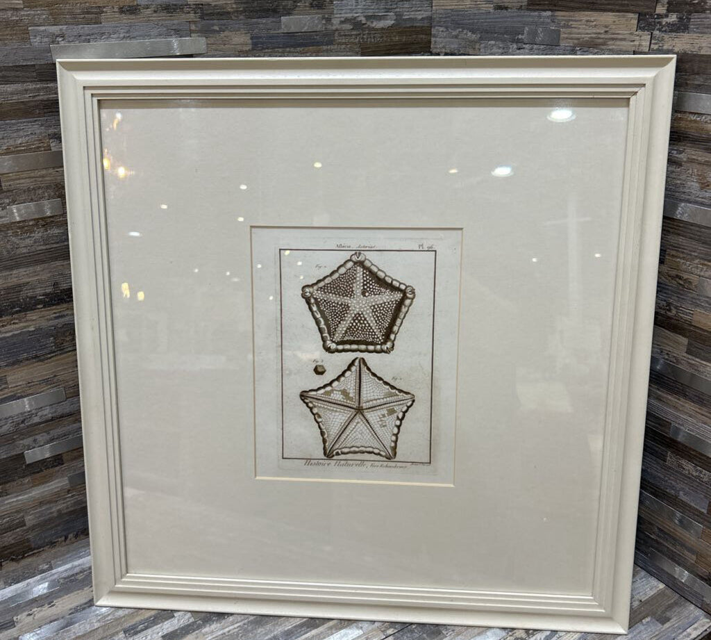 Pottery Barn Limited Edition Starfish Framed Print ART WORK 20x20