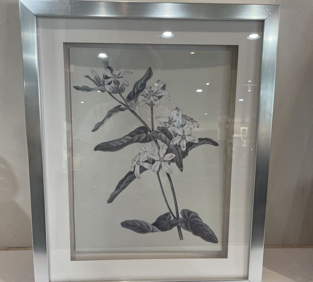 Black & White Botanical Print ART WORK 17.5Wx21.5H