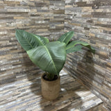 Faux Plant In Distressed Pot ACCESSORIES 16d16h