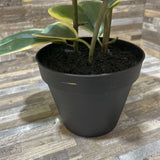 Potted Faux Trailing Plant ACCESSORIES 5d16h