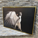 White-Tailed Hawk Framed Canvas Print ART WORK 31x21