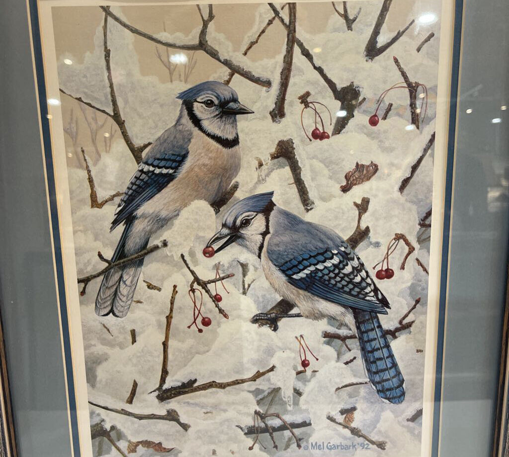 Mel Garbark Signed Blue Jay Print ART WORK 15Wx19H