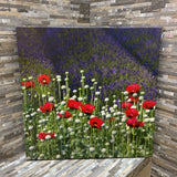 Red Poppy Canvas Print ART WORK 24x24