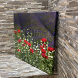 Red Poppy Canvas Print ART WORK 24x24