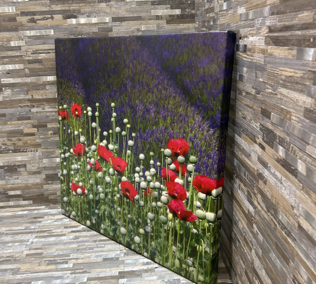 Red Poppy Canvas Print ART WORK 24x24