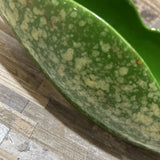 MCM Green Glaze Kentwood Bowl ACCESSORIES 15w5d3h