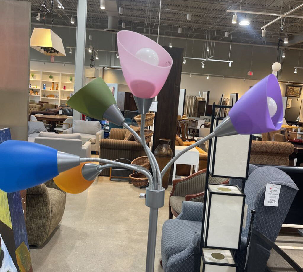 Multi-Colored Gooseneck Adjustable FLOOR LAMP 26Wx66H