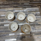 5pc Set Ceramic Succulent Pots ACCESSORIES 3d2h