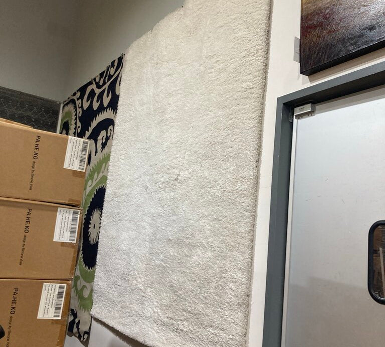 Safavieh Reno Shag RUG White 8'x10'