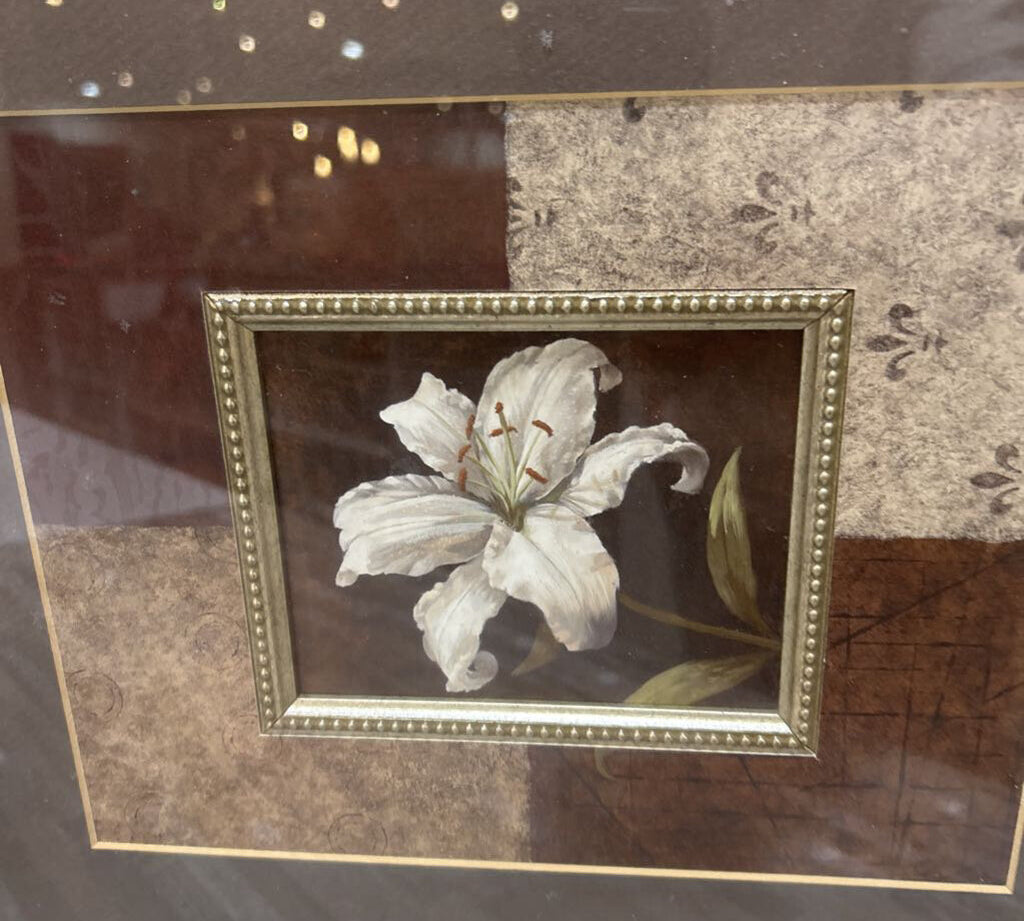 Vivian Flasch Everlasting Lily Print ART WORK 16x14