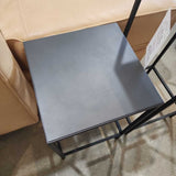 Room & Board 2pc Set Slim Natural Steel Pedestal Tables FURNITURE 12w12d30h