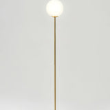 Luna LED Floor Lamp