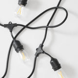 Ambience Pro LED Plug-in String Lights